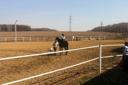 Конноспортивный клуб Макларен, с рейтингом 3.7 - находится по адресу Тульская область, деревня Большая Еловая, 113 