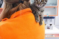 Ветеринарная клиника Зоосфера, с рейтингом 3.1 - находится по адресу Калуга, Телевизионная улица, 22 