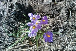 Салон цветов Улица цветов, с рейтингом 3.8 - находится по адресу Рязань, улица Свободы, 14-16 