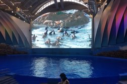 Экспозиционный корпус Приморский океанариум, с рейтингом 3.9 - находится по адресу Приморский край, пос. Русский, улица Академика Касьянова, 25 