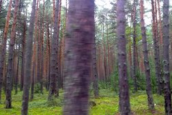 База отдыха Связист, с рейтингом 3.8 - находится по адресу Пермский край, Добрянка, 95-й квартал Полазненского лесничества, 1 